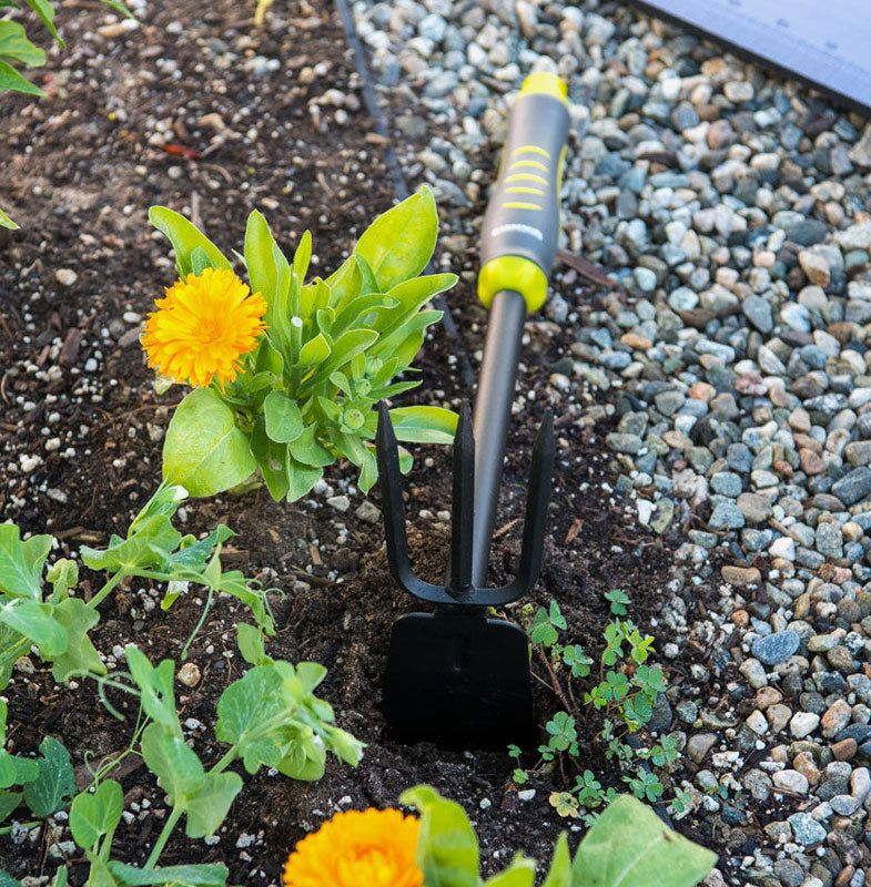 Intervale Long-Handled Ground